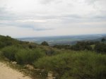 Foto 014.JPG