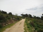 Foto 017.JPG
