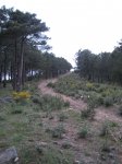 Foto 041.JPG