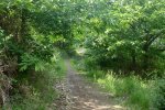 1DSC02590.jpg