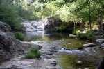 charco verde.jpg