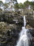 DSC00380 (Large).JPG
