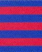 BANDERA DEL BARCA.jpg