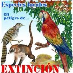 especies.jpg