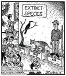 especies-en-peligro-de-extincion.jpg