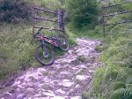 Imagen017.jpg