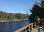 DSC00487.jpg