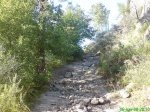 DSC00491.jpg