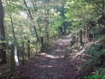 DSC00493.jpg