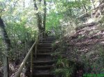 DSC00497.jpg