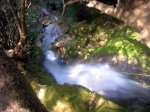 DSCN4073.jpg