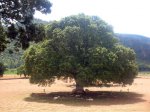 DSCN4083.jpg