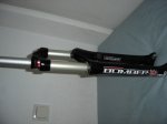 DSC01234.JPG