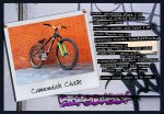 chasebikecheck.jpg