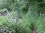 DSCN1782.JPG
