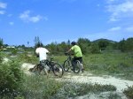 DSC05078.JPG