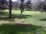 07062008097.jpg