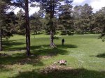 07062008098.jpg