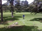07062008099.jpg
