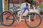 bike1.gif