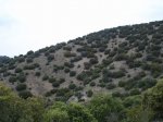 DSC03385.JPG