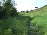 DSC00028.jpg