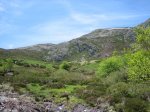 IMG_5528.JPG