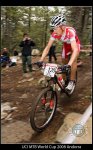 XC-M-dorsal-120.jpg