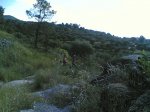 duatlon 08-06-2008 006.jpg