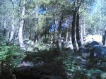 duatlon 08-06-2008 032.jpg