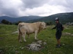 Foto19.JPG