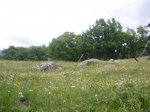 Foto35.JPG