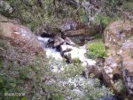 DSC00003.jpg
