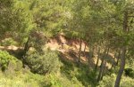 DSCN4951.JPG