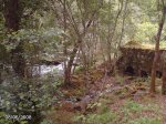DSC00008.jpg