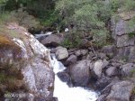DSC00012.jpg