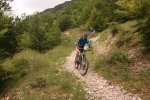 sandonato17.JPG