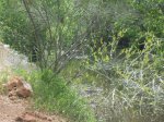 100_2942.jpg