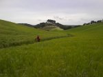 DSC00043.jpg
