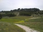 DSC00051.jpg