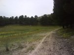 DSC00059.jpg