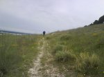 DSC00053.jpg