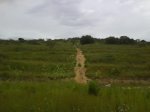 DSC00075.JPG