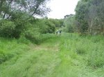 DSC00101.jpg