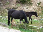 CERCEDILLA 002.jpg