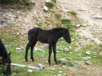 CERCEDILLA 003.jpg