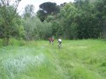 DSC00102.jpg