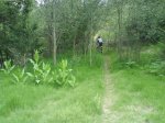 DSC00103.jpg