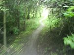 DSC00118.jpg