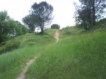 DSC00122.jpg